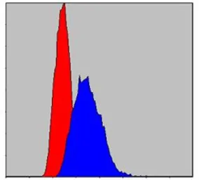 Anti-IRAK4 antibody [2H9] used in Flow cytometry (FCM). GTX60479