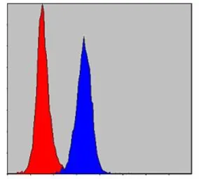 Anti-PKN2 antibody [1D1] used in Flow cytometry (FCM). GTX60483