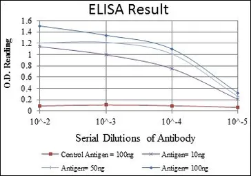 Anti-CRK antibody [3G11C1] used in ELISA (ELISA). GTX60487