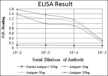 Anti-CRK antibody [3G11E8] used in ELISA (ELISA). GTX60488