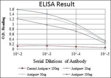 Anti-C/EBP beta antibody [3H9] used in ELISA (ELISA). GTX60489