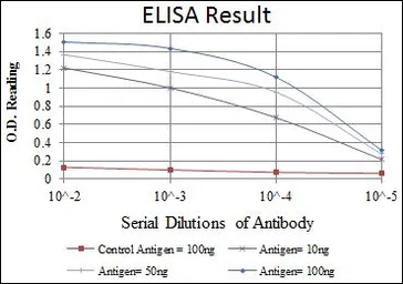 Anti-MCM2 antibody [2B3] used in ELISA (ELISA). GTX60491