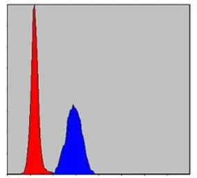 Anti-ERK1 antibody [1E5] used in Flow cytometry (FCM). GTX60492