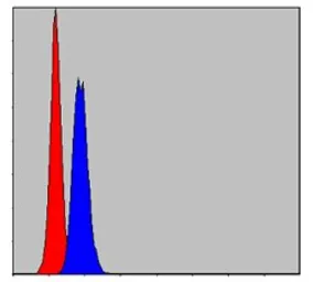 Anti-Prohibitin antibody [5H7] used in Flow cytometry (FCM). GTX60495