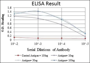 Anti-FOXP2 antibody [5C11A8] used in ELISA (ELISA). GTX60499