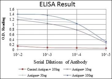 Anti-FOXP2 antibody [5C11A2] used in ELISA (ELISA). GTX60500