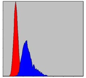 Anti-TCP1 beta antibody [5B5C4] used in Flow cytometry (FCM). GTX60505