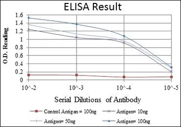 Anti-KIF22 antibody [5F3] used in ELISA (ELISA). GTX60506