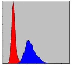 Anti-KIF22 antibody [1E3] used in Flow cytometry (FCM). GTX60508