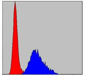 Anti-Troponin I fast skeletal muscle antibody [2F12A8] used in Flow cytometry (FCM). GTX60509
