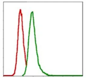 Anti-G6PD antibody [5E12] used in Flow cytometry (FCM). GTX60515