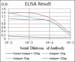 Anti-RSK2 antibody [4E10] used in ELISA (ELISA). GTX60517