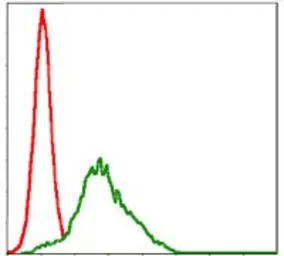Anti-RSK2 antibody [4E10] used in Flow cytometry (FCM). GTX60517