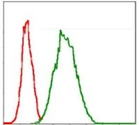 Anti-G6PD antibody [2H7] used in Flow cytometry (FCM). GTX60518