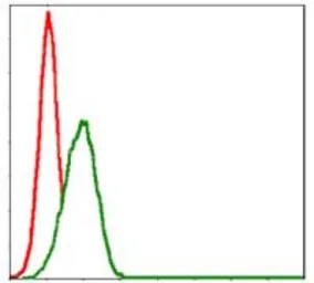 Anti-Myelin basic protein antibody [2H9] used in Flow cytometry (FCM). GTX60519