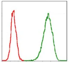 Anti-MCM2 antibody [1E7] used in Flow cytometry (FCM). GTX60520