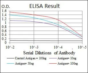 Anti-Src antibody [1F11] used in ELISA (ELISA). GTX60521
