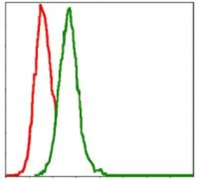 Anti-MEK7 antibody [4E5] used in Flow cytometry (FCM). GTX60522