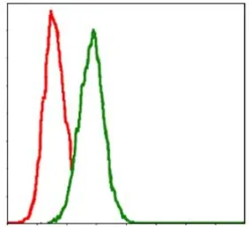 Anti-GSTM1 antibody [1H4F2] used in Flow cytometry (FCM). GTX60527