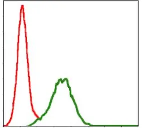 Anti-CD9 antibody [5G6] used in Flow cytometry (FCM). GTX60529
