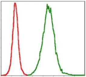 Anti-Troponin I fast skeletal muscle antibody [2F12G2] used in Flow cytometry (FCM). GTX60531
