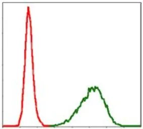 Anti-alpha Tubulin 8 antibody [2D6] used in Flow cytometry (FCM). GTX60532