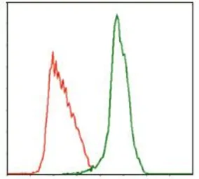 Anti-TPOR antibody [1H2] used in Flow cytometry (FCM). GTX60540
