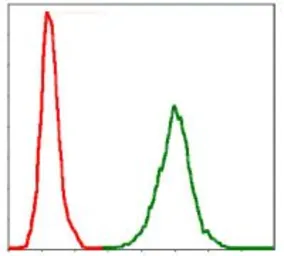 Anti-NF-L antibody [1H3] used in Flow cytometry (FCM). GTX60541