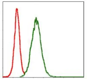 Anti-MMP3 antibody [4F10] used in Flow cytometry (FCM). GTX60542