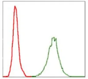 Anti-NF-L antibody [2G10] used in Flow cytometry (FCM). GTX60544