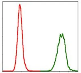 Anti-NEDD8 antibody [5B8] used in Flow cytometry (FCM). GTX60546