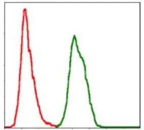 Anti-SKP1 antibody [1H9] used in Flow cytometry (FCM). GTX60547