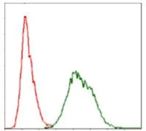 Anti-Ubiquitin B antibody [3C12] used in Flow cytometry (FCM). GTX60548