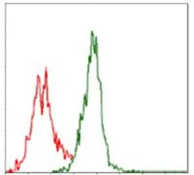 Anti-ASS1 antibody [2B10] used in Flow cytometry (FCM). GTX60549
