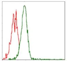 Anti-p70 S6K antibody [5G9] used in Flow cytometry (FCM). GTX60550