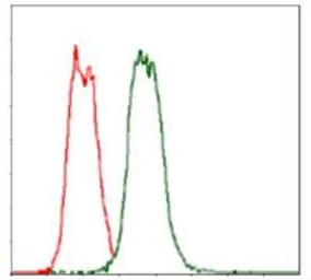 Anti-CD30 antibody [3B10] used in Flow cytometry (FCM). GTX60555