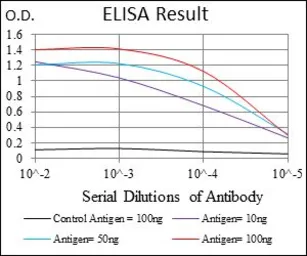 Anti-Raf1 antibody [4G4] used in ELISA (ELISA). GTX60556