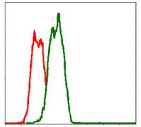 Anti-Fas antibody [4F8D6] used in Flow cytometry (FCM). GTX60559
