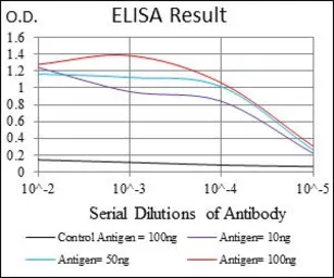 Anti-PBK antibody [2C8] used in ELISA (ELISA). GTX60560