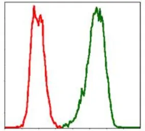 Anti-PBK antibody [2C8] used in Flow cytometry (FCM). GTX60560