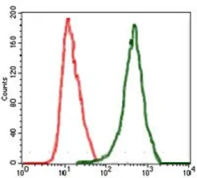 Anti-Raf1 antibody [4G4] used in Flow cytometry (FCM). GTX60561