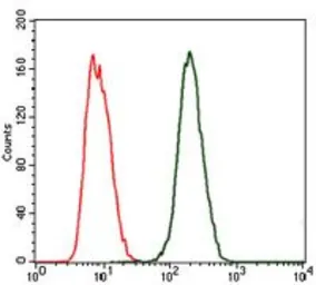 Anti-C Reactive Protein antibody [1G1] used in Flow cytometry (FCM). GTX60566