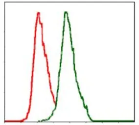 Anti-Alkaline Phosphatase (Tissue Non-Specific) antibody [2F4] used in Flow cytometry (FCM). GTX60568