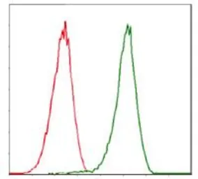 Anti-CDK2 antibody [1A6] used in Flow cytometry (FCM). GTX60572