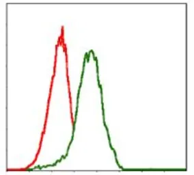 Anti-PDX1 antibody [5A5] used in Flow cytometry (FCM). GTX60573