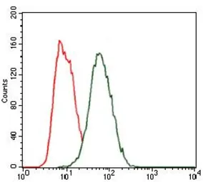 Anti-HEXA antibody [3F10] used in Flow cytometry (FCM). GTX60574