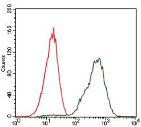 Anti-PDX1 antibody [2G12] used in Flow cytometry (FCM). GTX60575