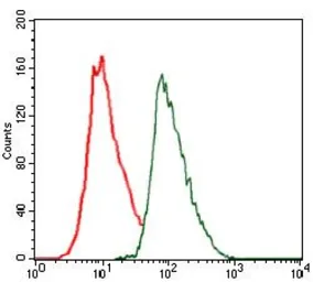 Anti-C/EBP alpha antibody [4E10] used in Flow cytometry (FCM). GTX60578