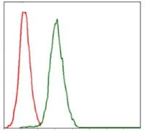 Anti-RPA70 antibody [4C4] used in Flow cytometry (FCM). GTX60579