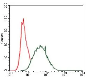 Anti-Cytokeratin 5 antibody [2C2] used in Flow cytometry (FCM). GTX60580